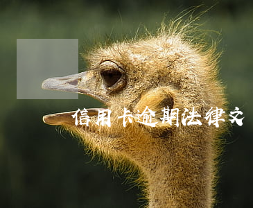 信用卡逾期法律文書上傳（信用卡逾期法律文書）