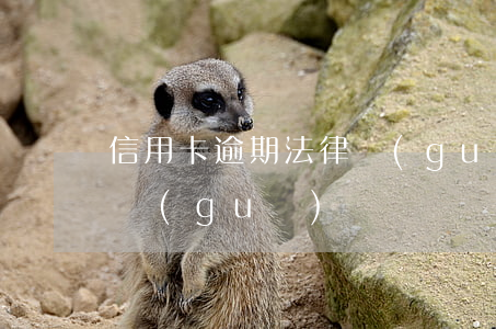 信用卡逾期法律規(guī)定(信用卡逾期規(guī)則)
