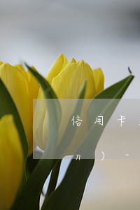 信用卡逾期法律風(fēng)險(xiǎn)-信用卡逾期法律風(fēng)險(xiǎn)有多大