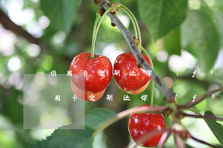 信用卡逾期法律風(fēng)險是什么(信用卡逾期法律風(fēng)險是什么)