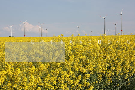 信用卡逾期法訴賬戶-信用卡逾期法訴賬戶