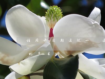 信用卡逾期法院一審(法院判信用卡逾期逾期利息支持嗎)