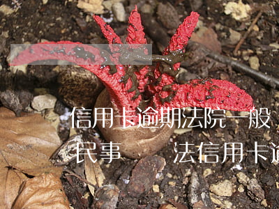 信用卡逾期法院一般會(huì)怎么判決(民事訴訟法信用卡逾期)