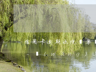 信用卡逾期法院備案號(hào)怎么查詢-網(wǎng)上怎么查信用卡逾期