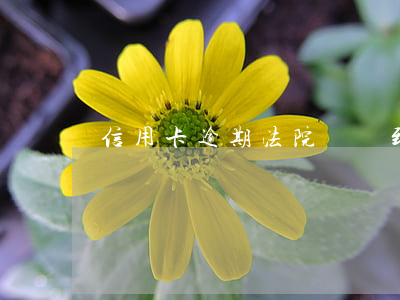 信用卡逾期法院傳單到家(信用卡逾期司法上門)