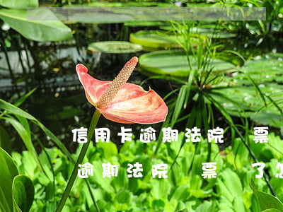 信用卡逾期法院傳票來了怎么辦啊-信用卡逾期法院傳票來了怎么辦啊怎么解決