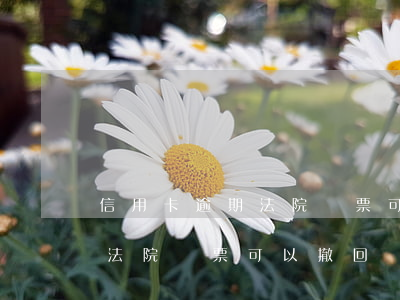 信用卡逾期法院傳票可以撤回嗎(信用卡逾期法院傳票可以撤回嗎)