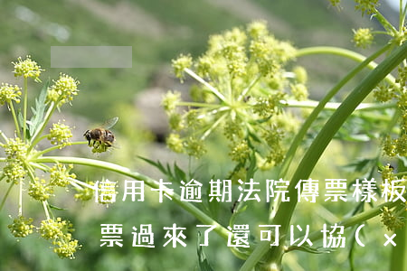 信用卡逾期法院傳票樣板(信用卡逾期,法院傳票過來了,還可以協(xié)商嗎)