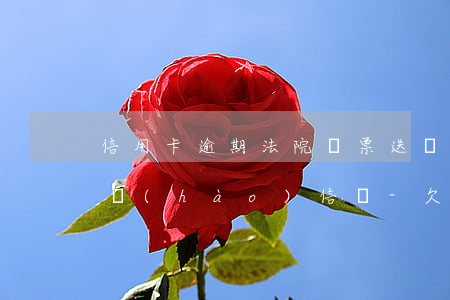 信用卡逾期法院傳票送達(dá)方式有掛號(hào)信嗎-欠信用卡法院傳票送達(dá)方式