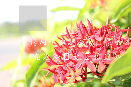 信用卡逾期法院傳票送達方式(逾期傳票是法院通知還是銀行通知)