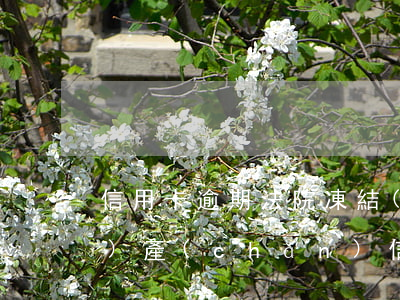 信用卡逾期法院凍結(jié)財(cái)產(chǎn) 信用卡逾期法院凍結(jié)財(cái)產(chǎn)怎么處理
