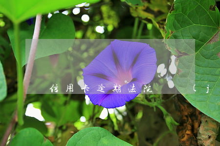 信用卡逾期法院凍結(jié)賬戶有通知嗎