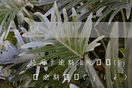 信用卡逾期法院凍結(jié)銀行卡怎么辦(逾期凍結(jié)的信用卡怎么解凍)