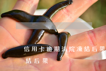 信用卡逾期法院凍結后果 信用卡逾期法院凍結后果