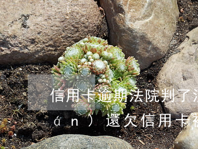 信用卡逾期法院判了沒(méi)錢(qián)還(欠信用卡被判決后還不還)