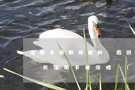 信用卡逾期法院判決后可以協(xié)商嗎 欠信用卡被法院執(zhí)行了還能協(xié)商嗎