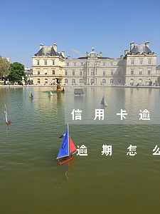 信用卡逾期法院判決后怎么辦(因判刑信用卡逾期怎么辦)