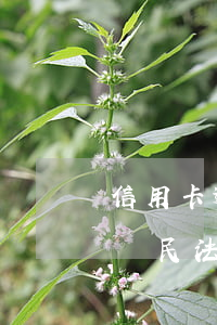 信用卡逾期法院判決書還能協(xié)商嗎(民法典信用卡逾期可以協(xié)商嗎)