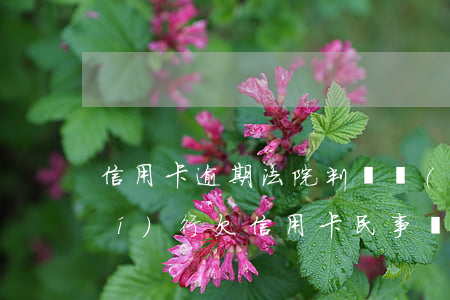信用卡逾期法院判決無(wú)力執(zhí)行(欠信用卡民事訴訟判決執(zhí)行)