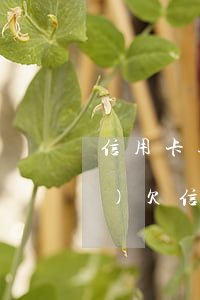 信用卡逾期法院剛立案怎么撤銷(xiāo)(欠信用卡被法院立案了怎么處理)