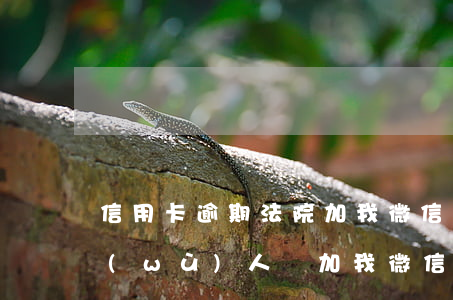 信用卡逾期法院加我微信(信用卡逾期有法務(wù)人員加我微信是不是真的)