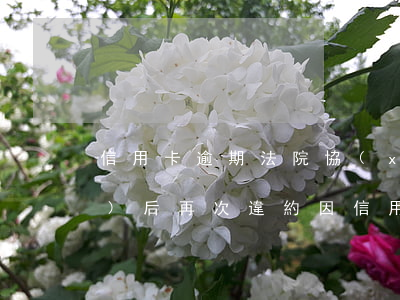信用卡逾期法院協(xié)調(diào)后再次違約(因信用卡逾期經(jīng)常收到電話協(xié)商)