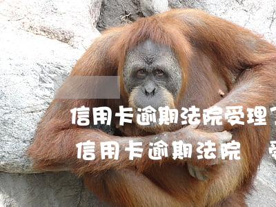 信用卡逾期法院受理了怎么辦呢(2020年信用卡逾期法院還受理起訴嗎)