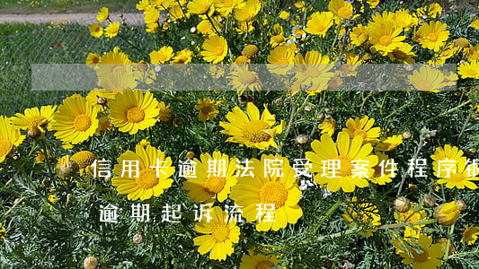 信用卡逾期法院受理案件程序(银行对信用卡逾期起诉流程)