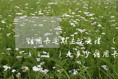信用卡逾期法院受理標(biāo)準(zhǔn)是多少(信用卡逾期法院受理標(biāo)準(zhǔn)是多少啊)