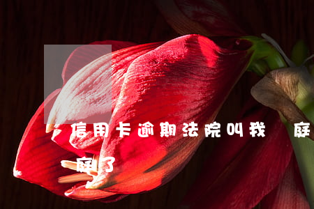 信用卡逾期法院叫我開庭(信用卡逾期說被開庭了)
