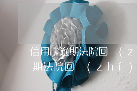 信用卡逾期法院回執(zhí)單(信用卡逾期法院回執(zhí)單)