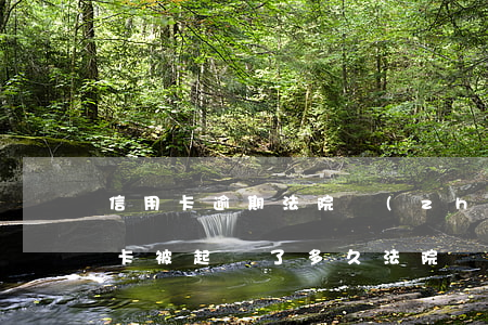 信用卡逾期法院執(zhí)行后果(欠信用卡被起訴了多久法院強制執(zhí)行)