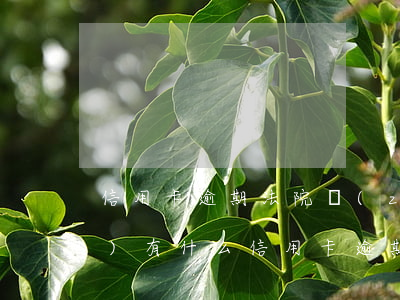 信用卡逾期法院執(zhí)行會(huì)有什么(信用卡逾期法院執(zhí)行會(huì)有什么)