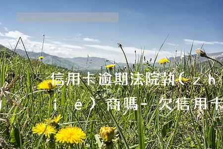 信用卡逾期法院執(zhí)行還能協(xié)商嗎-欠信用卡被起訴可以協(xié)商還款嗎