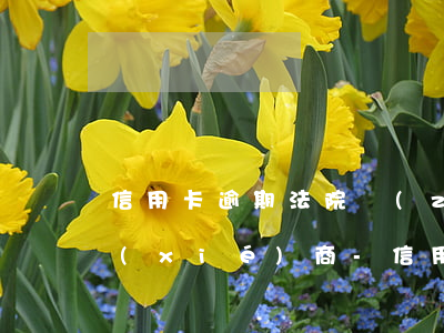 信用卡逾期法院執(zhí)行雙方如何協(xié)商-信用卡逾期法院執(zhí)行雙方如何協(xié)商還款