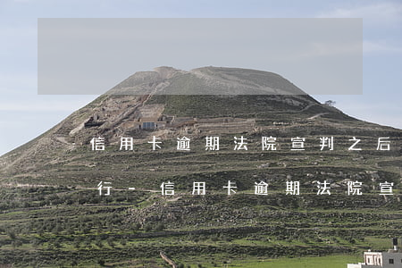 信用卡逾期法院宣判之后多久執(zhí)行-信用卡逾期法院宣判之后多久執(zhí)行呢