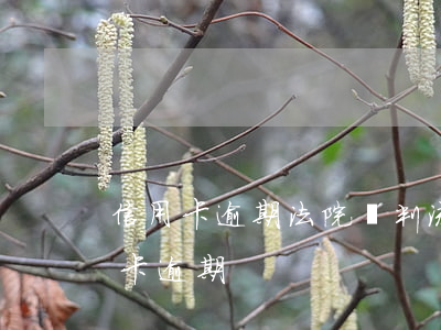 信用卡逾期法院審判流程-法院不受理信用卡逾期