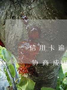 信用卡逾期法院已判决该怎么协商(跟信用卡协商成功后又逾期了)
