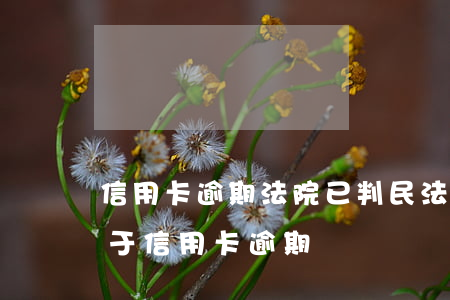 信用卡逾期法院已判(民法典關(guān)于信用卡逾期)