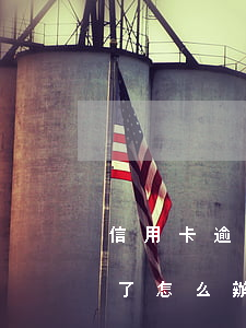 信用卡逾期法院已判決怎么辦(欠信用卡判決了怎么辦)