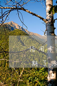 信用卡逾期法院已結(jié)案(信用卡逾期了法院會(huì)怎樣判決?)