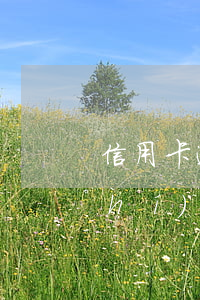 信用卡逾期法院強(qiáng)制執(zhí)行房產(chǎn)(欠信用卡強(qiáng)制執(zhí)行)