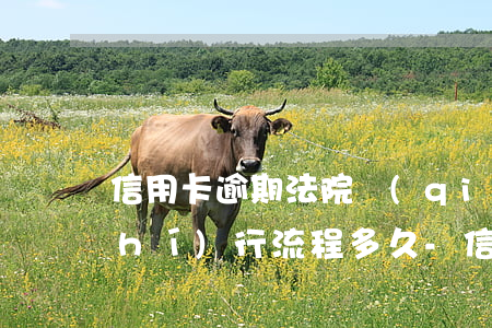 信用卡逾期法院強(qiáng)制執(zhí)行流程多久-信用卡逾期法院強(qiáng)制執(zhí)行流程多久結(jié)束