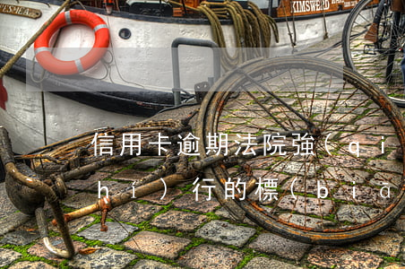 信用卡逾期法院強(qiáng)制執(zhí)行的標(biāo)準(zhǔn)(信用卡逾期法院強(qiáng)制執(zhí)行的標(biāo)準(zhǔn))