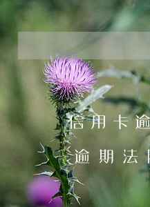 信用卡逾期法院強制執(zhí)行(信用卡逾期法院強制執(zhí)行的標準)