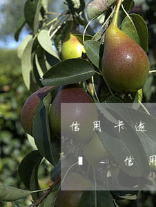 信用卡逾期法院強制執(zhí)行會抓人嗎-信用卡逾期法院強制執(zhí)行會抓人嗎知乎
