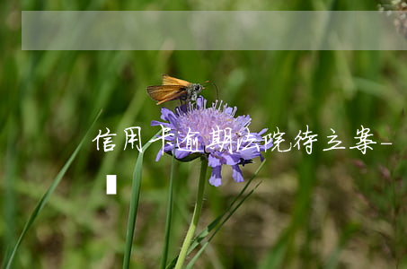 信用卡逾期法院待立案-欠信用卡逾期被起訴