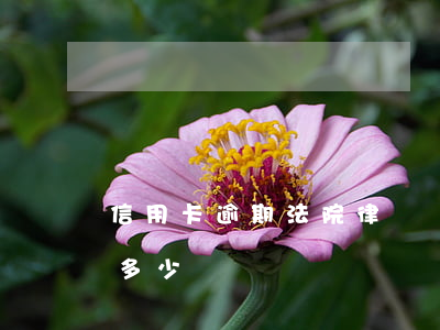 信用卡逾期法院律師費 欠信用卡請律師費用多少錢