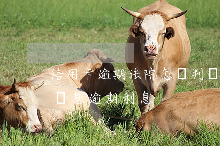 信用卡逾期法院怎樣判決利息-信用卡 逾期罰息 逾期利息