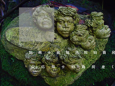 信用卡逾期法院拍賣房產(chǎn)流程 欠信用卡拍賣房產(chǎn)
